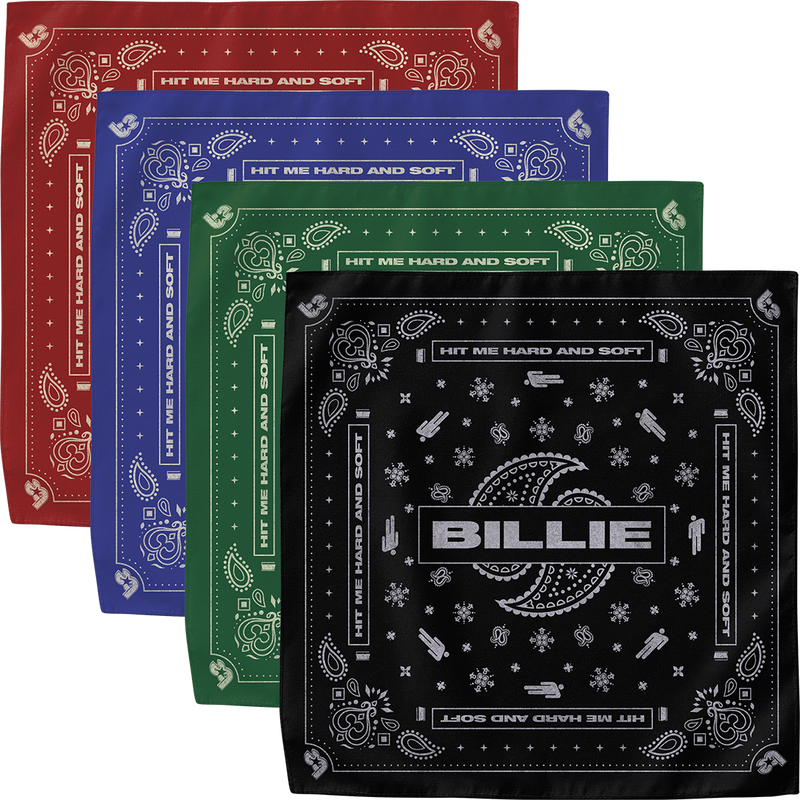 Paisley Bandana 4 Pack