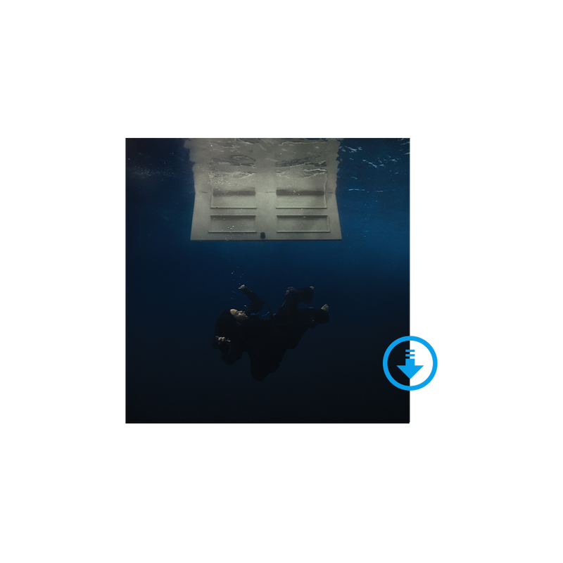 HIT ME HARD AND SOFT - EXCLUSIVE DIGITAL ALBUM (WITH ALL ISOLATED VOCALS)